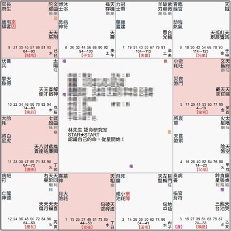 武曲破軍坐命|紫微命盤解析——武曲、破軍在巳、亥宮